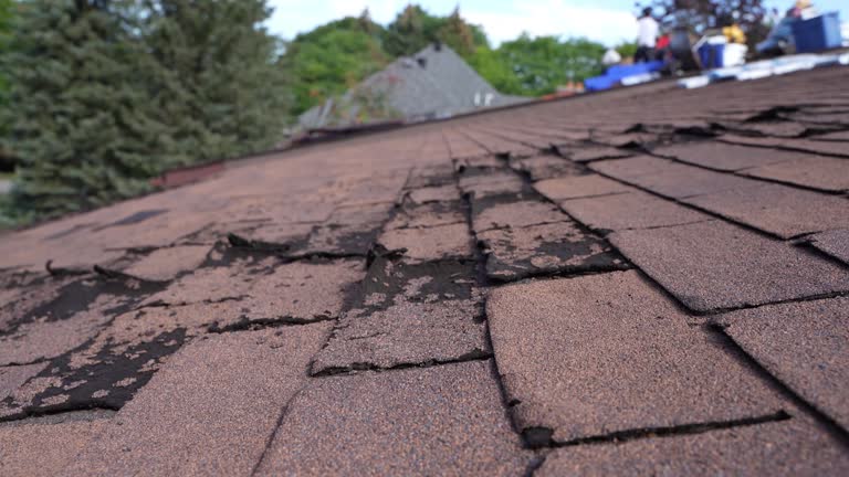 Best Rubber Roofing (EPDM, TPO)  in Troy, OH