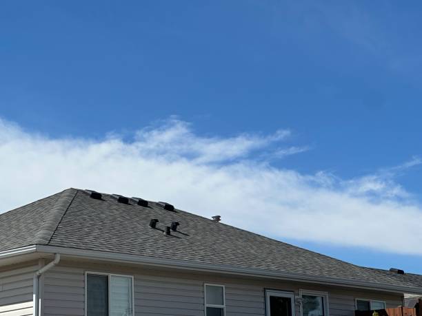 Best Green or Eco-Friendly Roofing Solutions  in Troy, OH